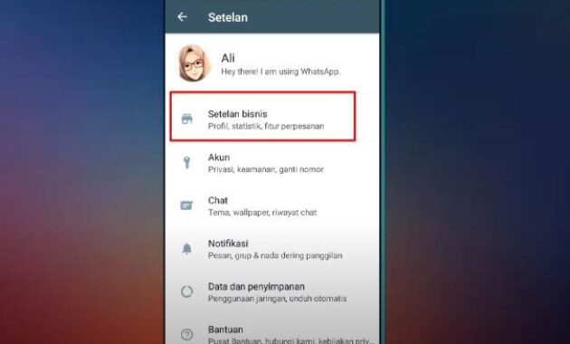 cara membuat pesan otomatis di whatsapp