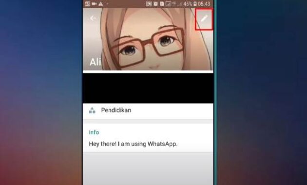 membuat autoresponder di whatsapp