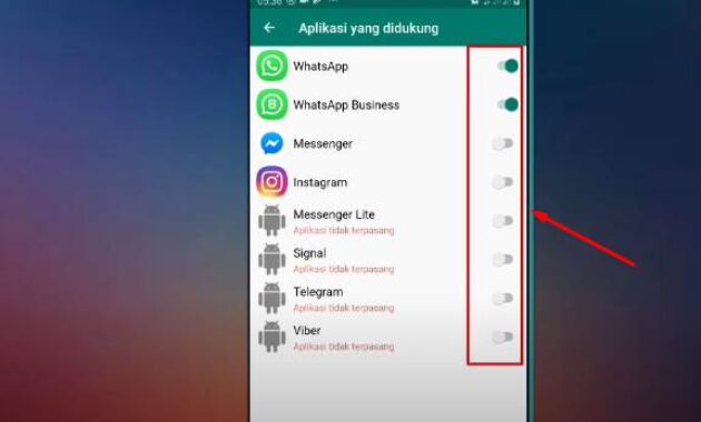 izinkan aplikasi untuk whatsauto