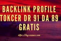 BACKLINK PROFILE TOKCER DR 91 DA 89 GRATIS