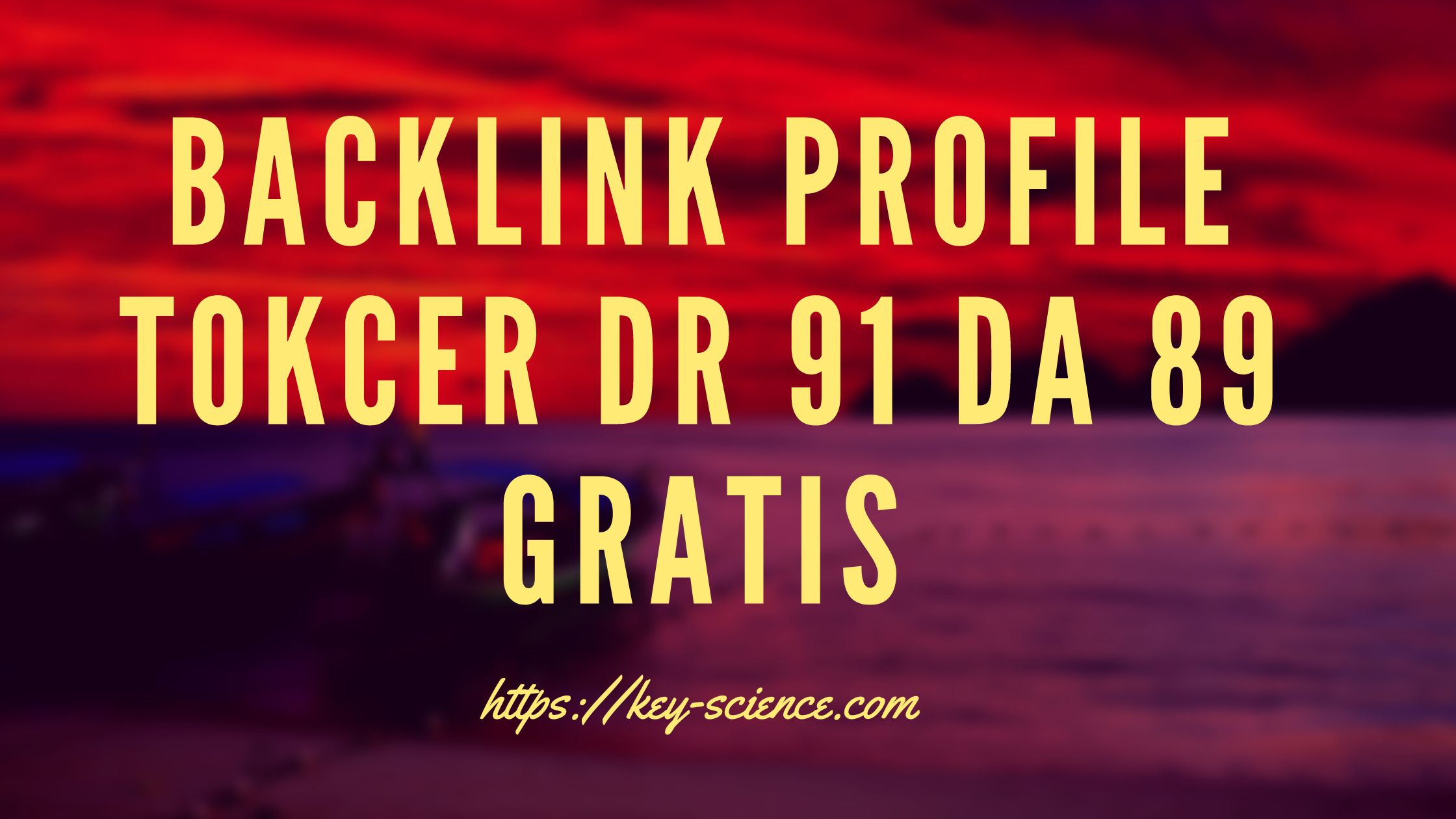 BACKLINK PROFILE TOKCER DR 91 DA 89 GRATIS